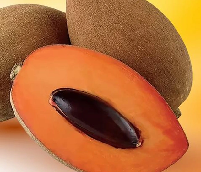 Caribbean Paradise Mamey Pulp Fresh mamey used for Caribbean Paradise natural mamey pulp