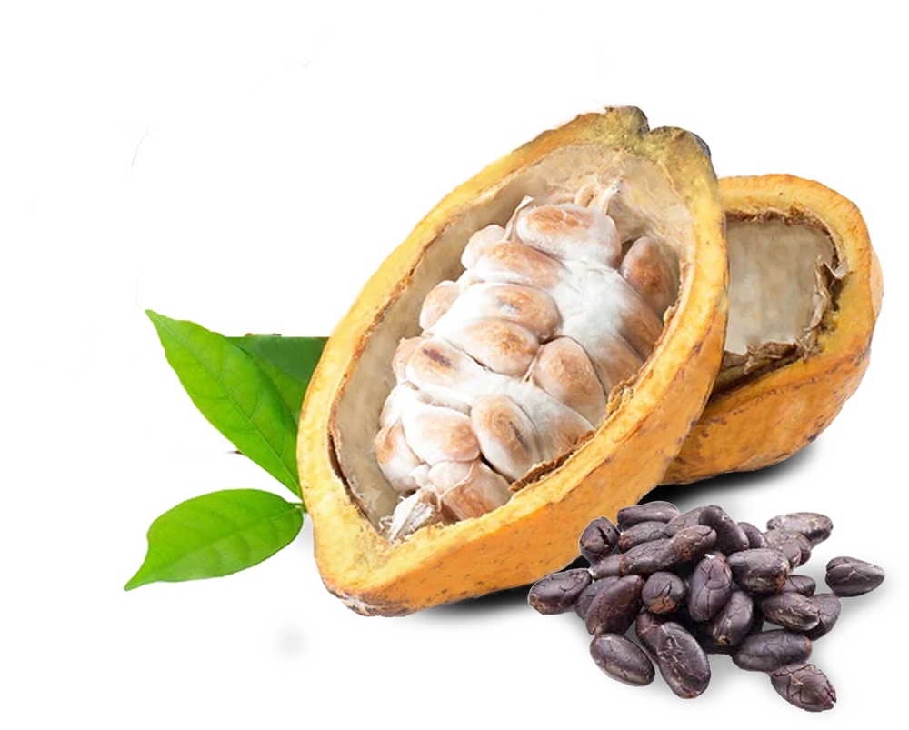 Beans