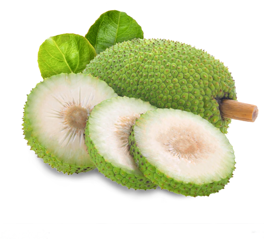 Breadfruit