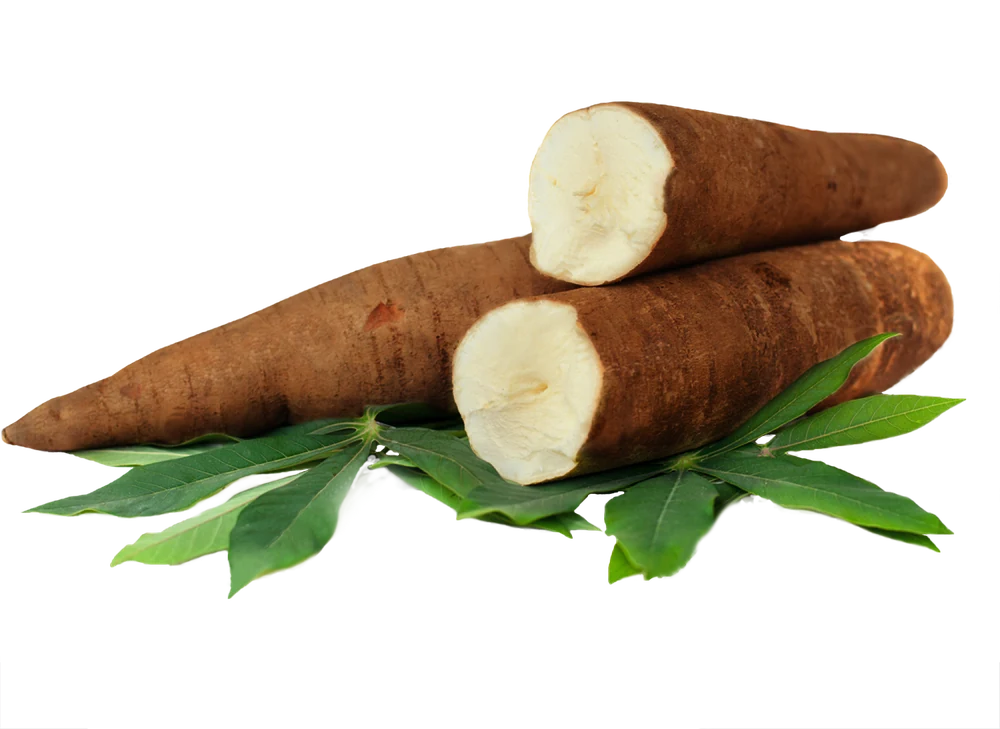 Cassava