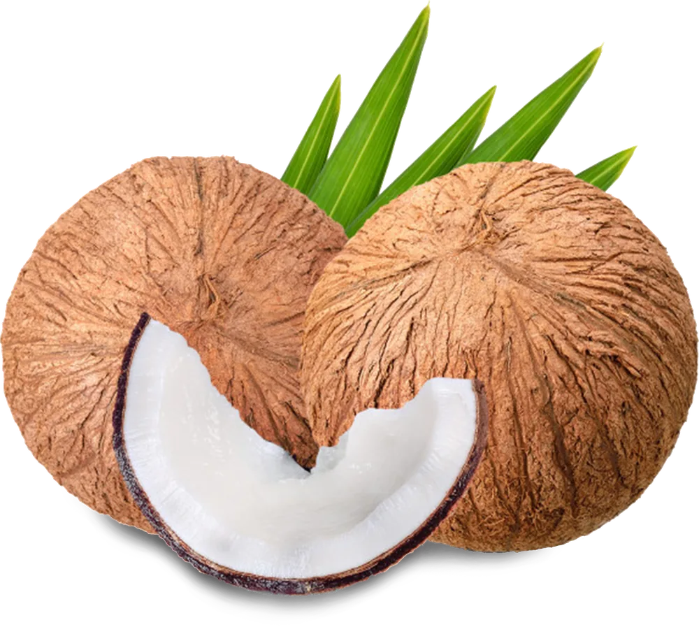 Coconuts, whole and opened