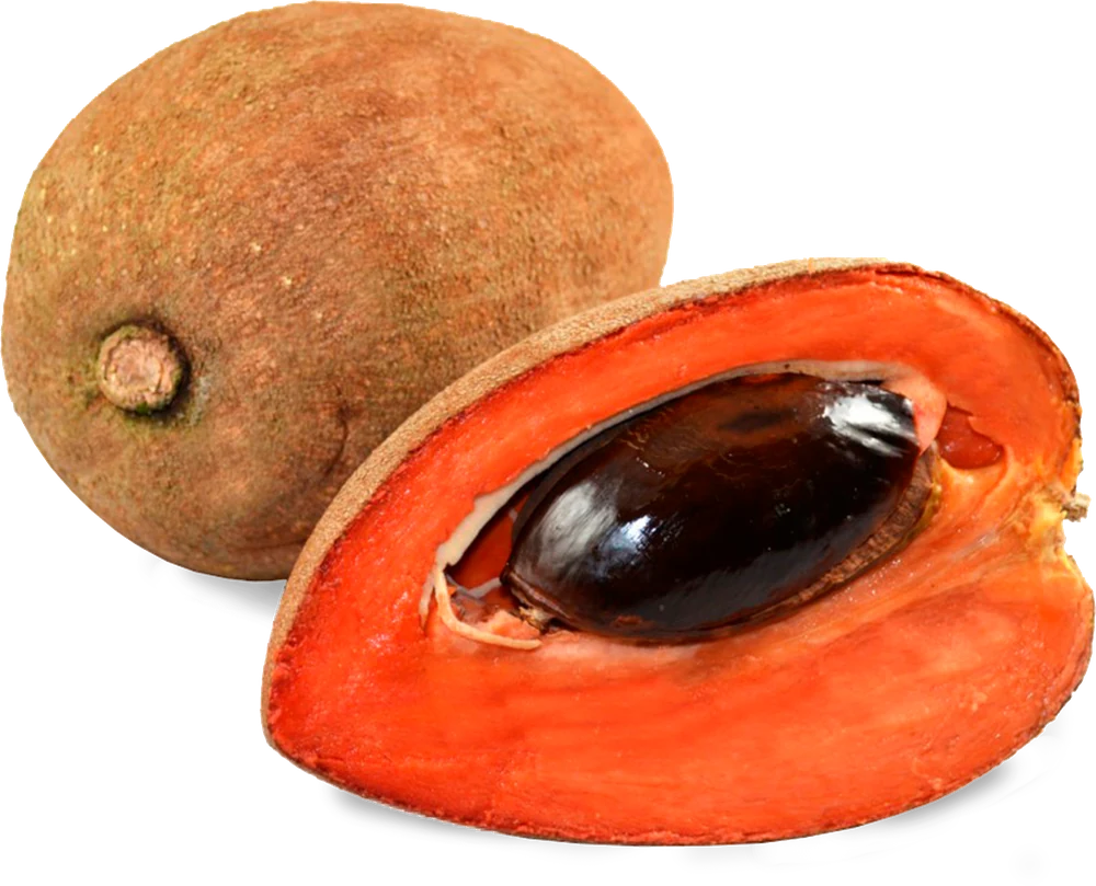The seed