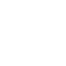 V-Land Foods